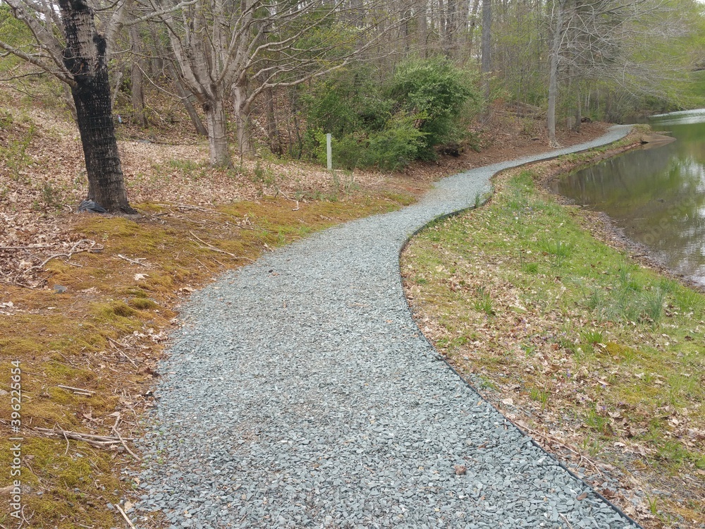 Obraz premium path in the forest