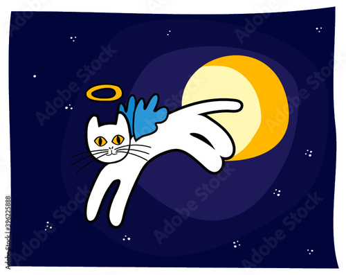 Gato Branco na noite