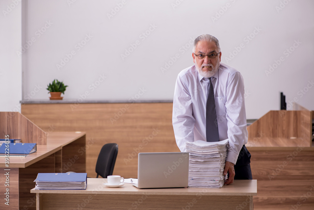 Old male employee working in the office Old male employee working in the office