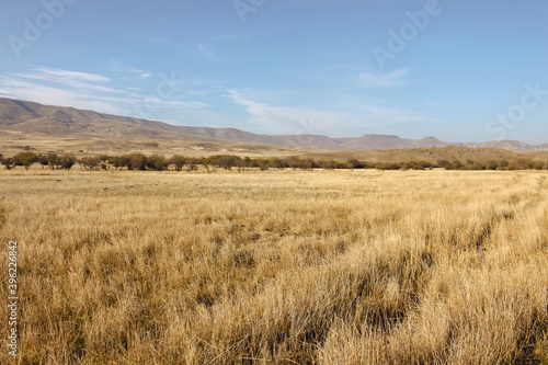 Patagonian steppe in Neuquen  Argentina  near the Andes mountain range.