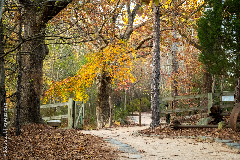 Naklejka premium Autumn vibes at Historic Yates Mill County Park. Raleigh, North Carolina.