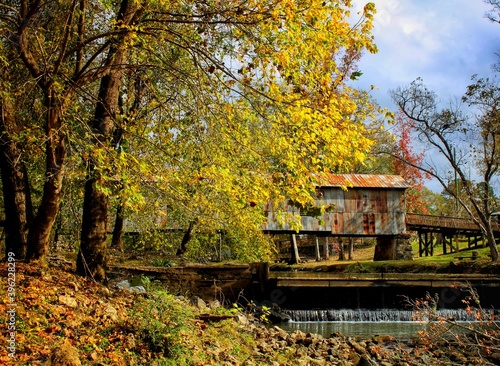 autumn in the park