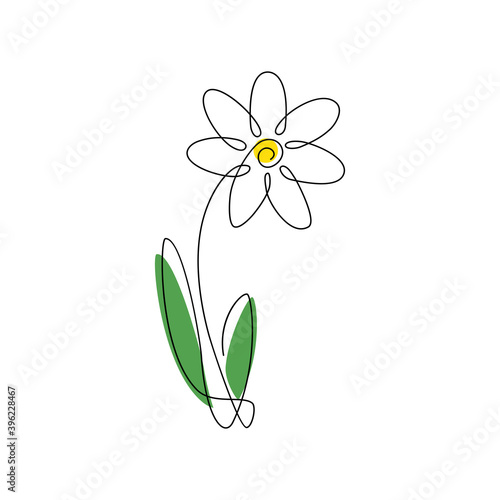 beautiful daisy flower logo icon illustration