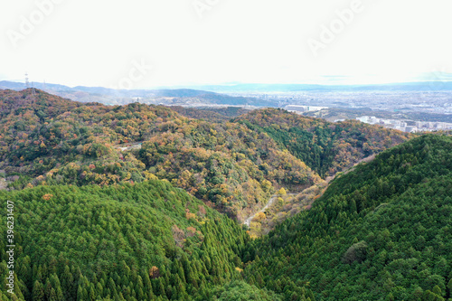 日本の紅葉と滝