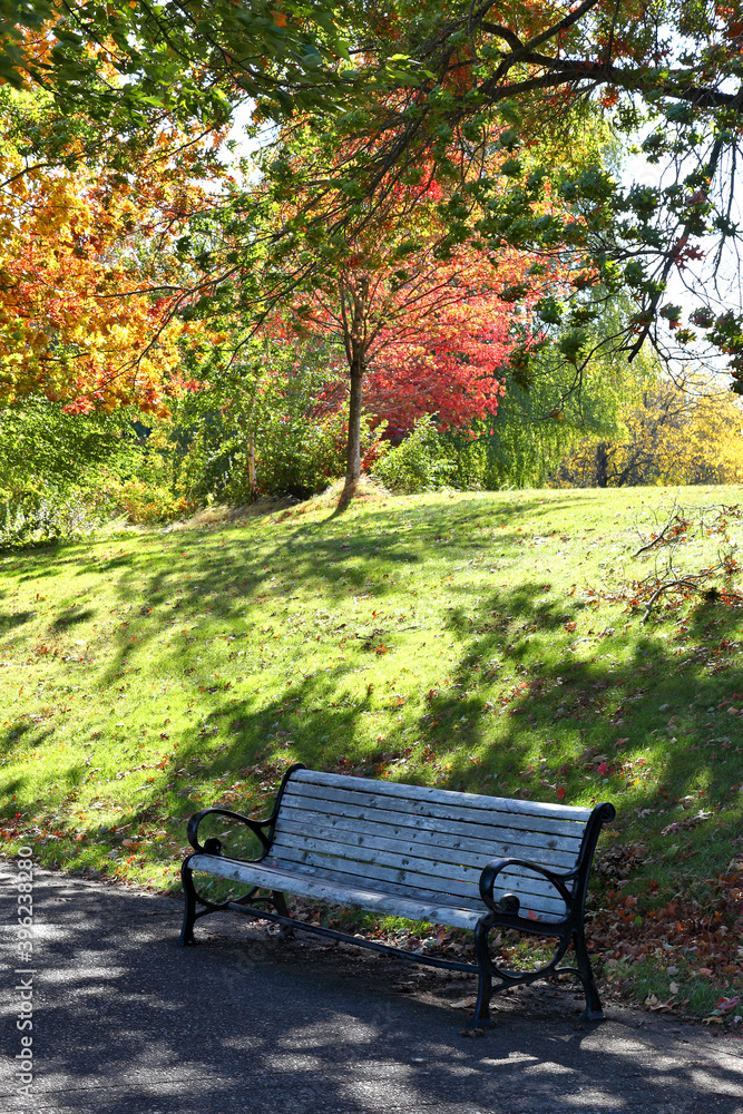 Bench in Park