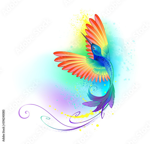 Splendid rainbow hummingbird