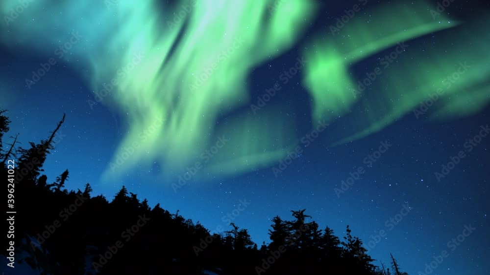 Aurora Green Above Snow Forest Silhouettes 01 Loop Aurora Green Above Snow Forest Silhouettes 01 Loop