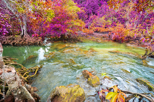 Colorful majestic Emerald pool is unseen pool in mangrove forest Majestic autumn trees glowing by sunlight autumn leaves Dramatic scene.