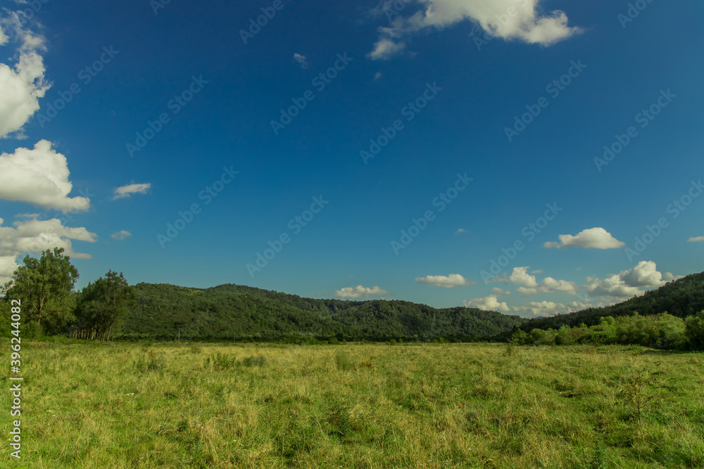 simple nature landscape photography of summer clear weather day meadow scenic view green trees foliage and blue sky background