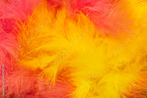 Defocused abstract colored feathers background.