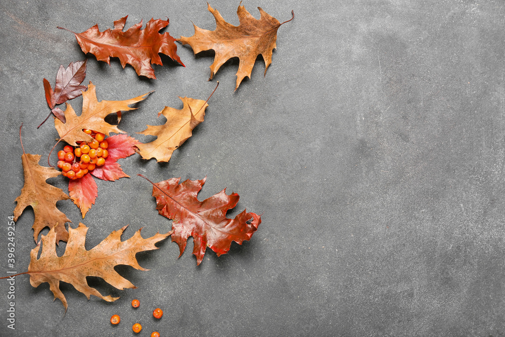 Obraz premium Beautiful autumn composition on dark background