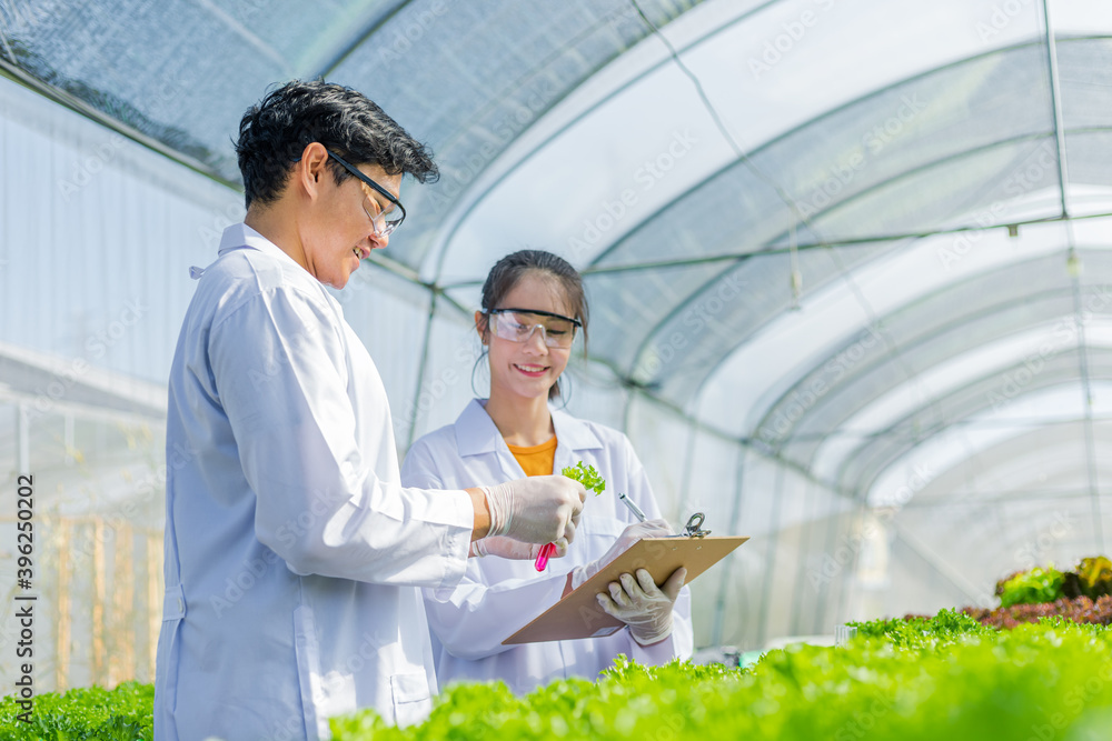 Scientists test the solution, Chemical inspection, Check freshness at organic, hydroponic farm. Scientists test the solution, Chemical inspection, Check freshness at organic, hydroponic farm.