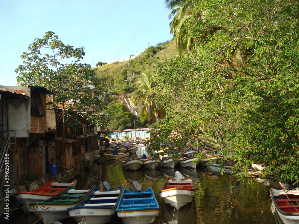 Obraz premium variedad