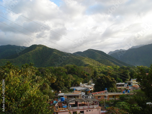 Wallpaper Mural variedad Torontodigital.ca