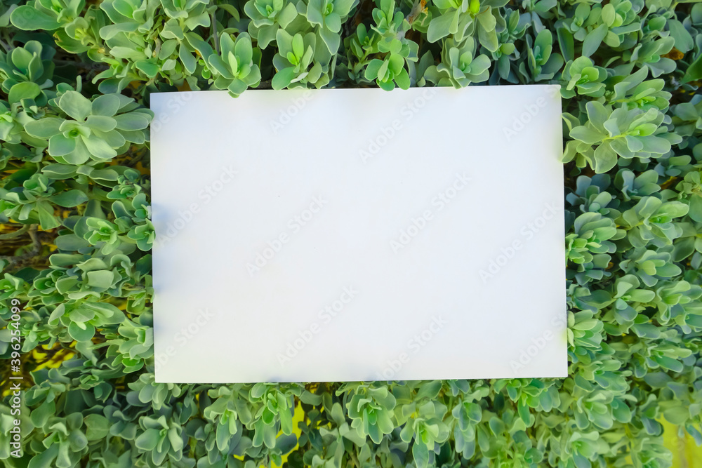 Creative layout with green leaves and copy space card note. Nature concept, flat lay, top view. Creative layout with green leaves and copy space card note. Nature concept, flat lay, top view.