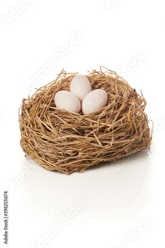 the white egg in nest on white background