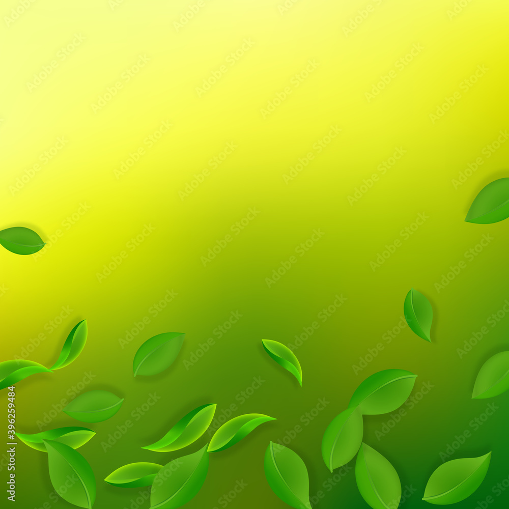 Falling green leaves. Fresh tea neat leaves flying Falling green leaves. Fresh tea neat leaves flying