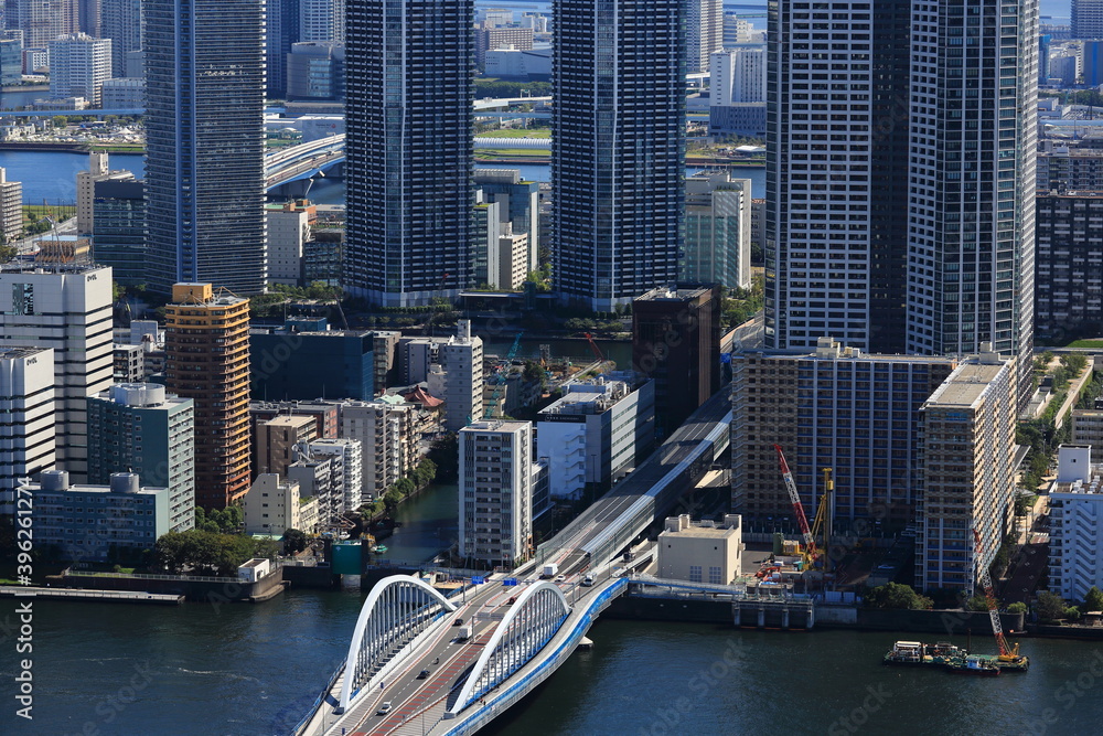Obraz premium 隅田川に架かる築地大橋と林立する高層マンション群
