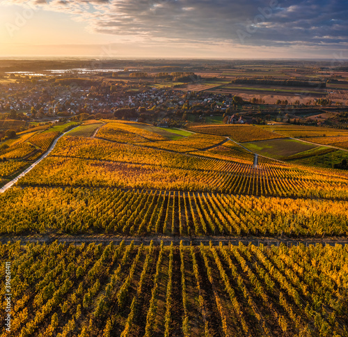 Tokaj, Hungary - Aerial view of the world famous Hungarian vineyards of Tokaj wine region with town of Tokaj and golden sunrise at background on a warm autumn morning