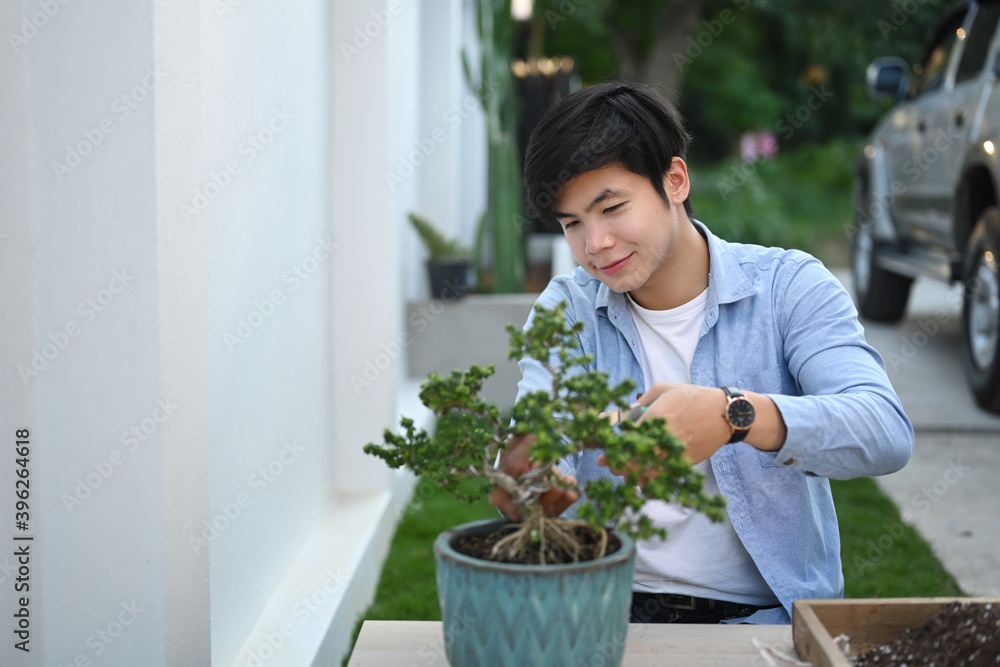 A Young man trimming a bonzai  tree in a black pot plant at home. Greenery hobby.