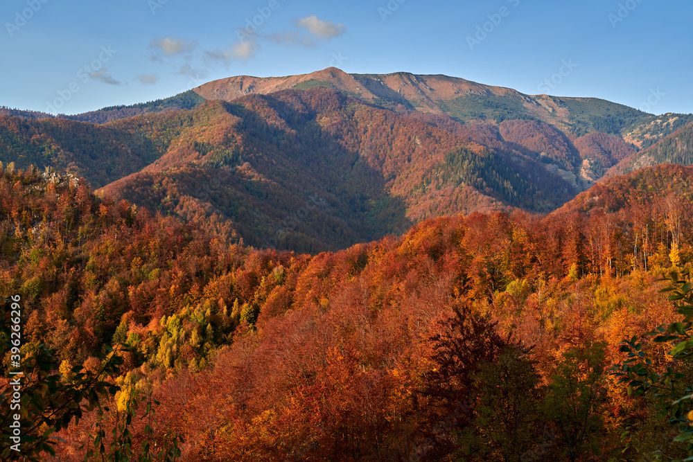 Colorful forests on the mountains