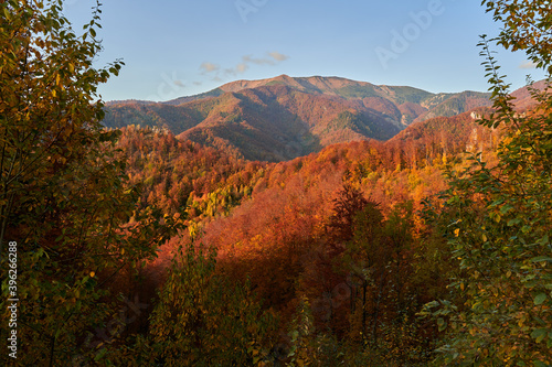 Colorful forests on the mountains