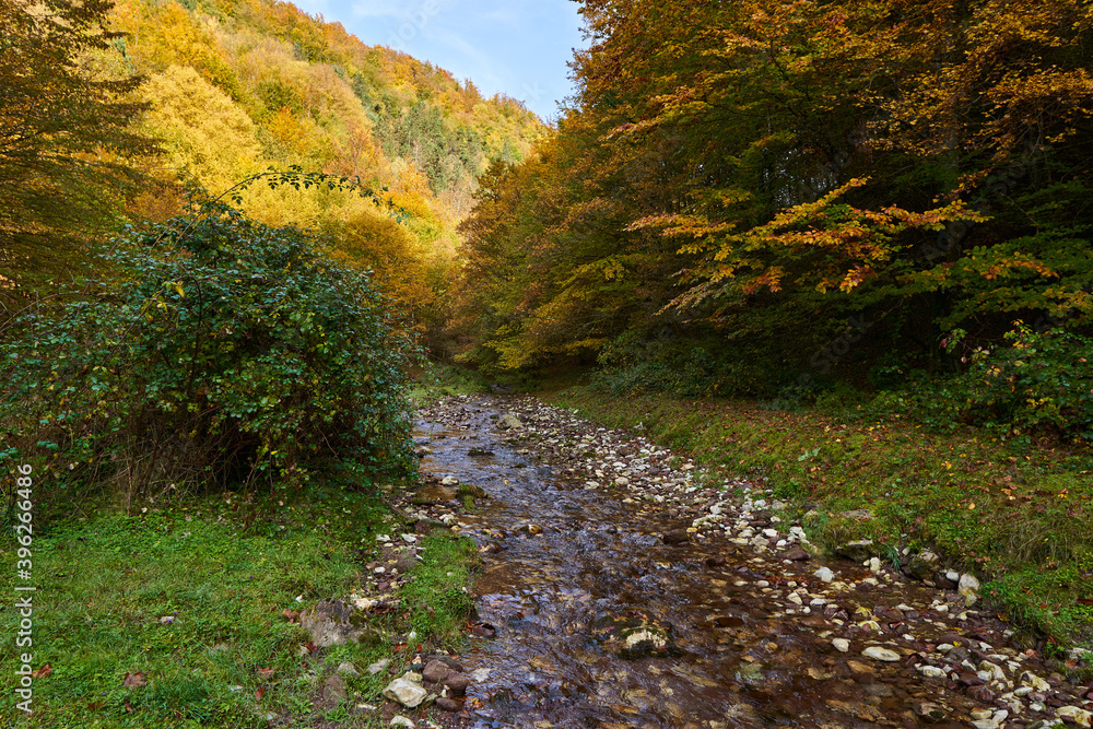 Colorful autumnal landscape of a river in the forest Colorful autumnal landscape of a river in the forest