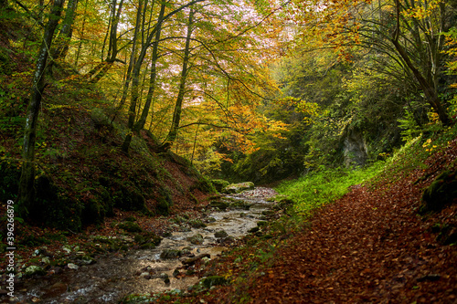 Colorful autumnal landscape of a river in the forest