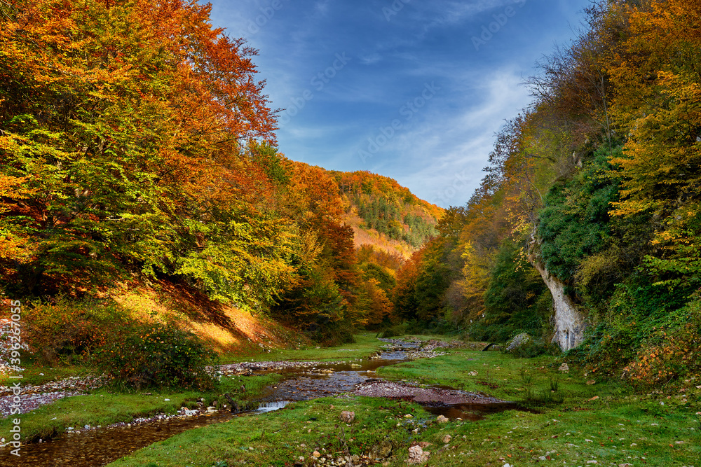 Colorful autumnal landscape of a river in the forest