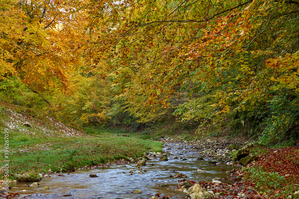 Colorful autumnal landscape of a river in the forest Colorful autumnal landscape of a river in the forest