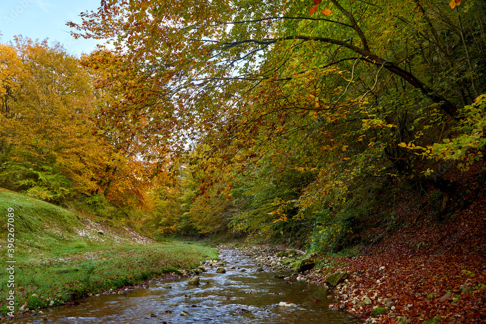 Colorful autumnal landscape of a river in the forest