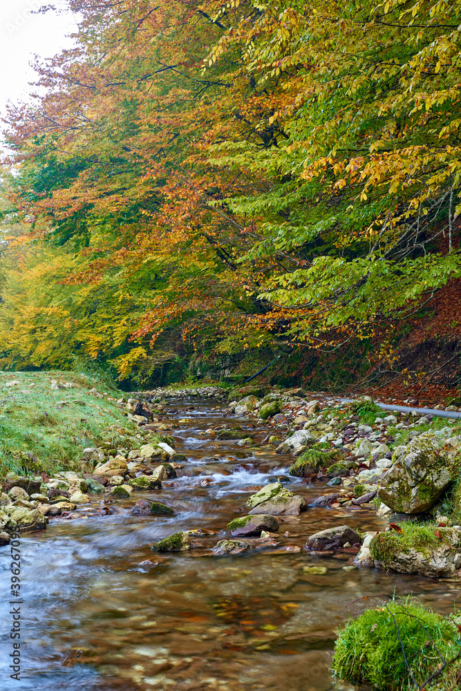 Colorful autumnal landscape of a river in the forest Colorful autumnal landscape of a river in the forest