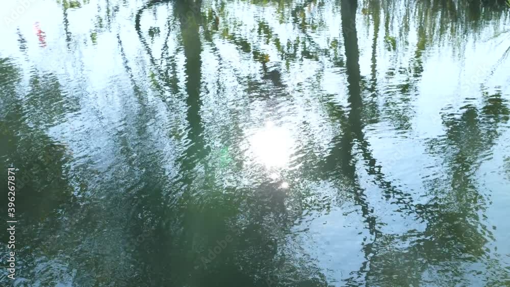 Shadow of the sun in the water, the reflection of the trees in the water Shadow of the sun in the water, the reflection of the trees in the water