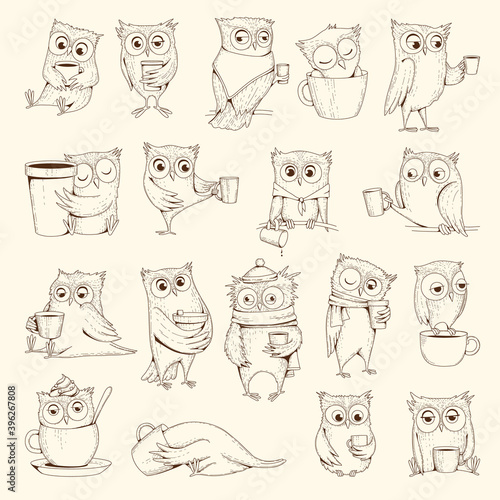 Owls with cup. Sleep concept birds characters sitting on coffee cups vector illustrations. Bird owl sleep drawing, doodle humor line emotion