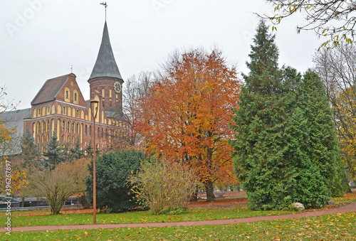 Königsberg Cathedral in the autumn park. Kant Island. Kaliningrad