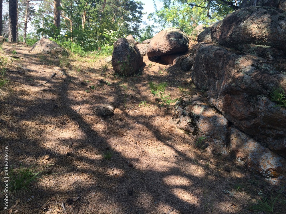 Obraz premium huge stones in the forest of Krasnoyarsk