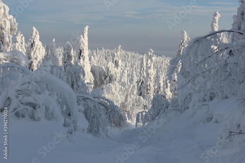 Frozen winter forest in the Ural mountains