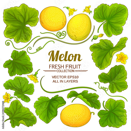 melon elements set