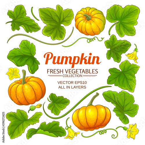 pumpkin elements set