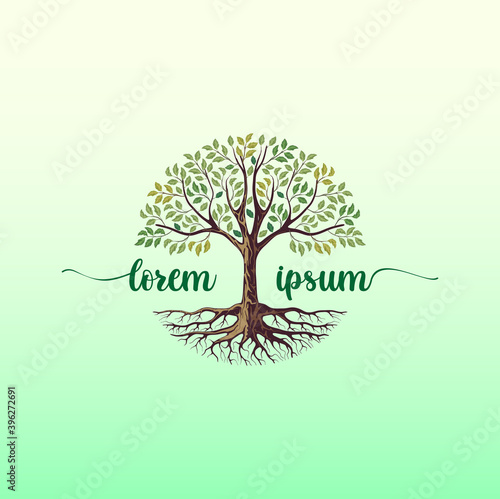Photography Elegant Tree logo design template, tree of life logo with a beautiful and harmonious circular shape with the addition of the company name in the center