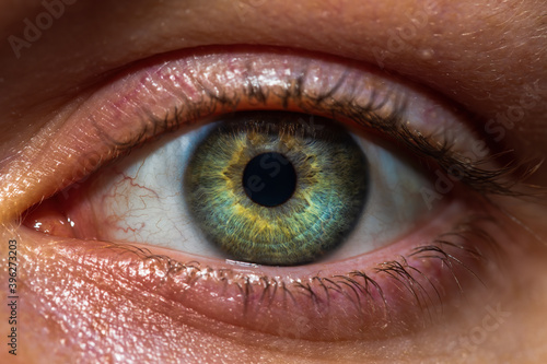 close up of human eye, green and blue eye with a bit of veins.