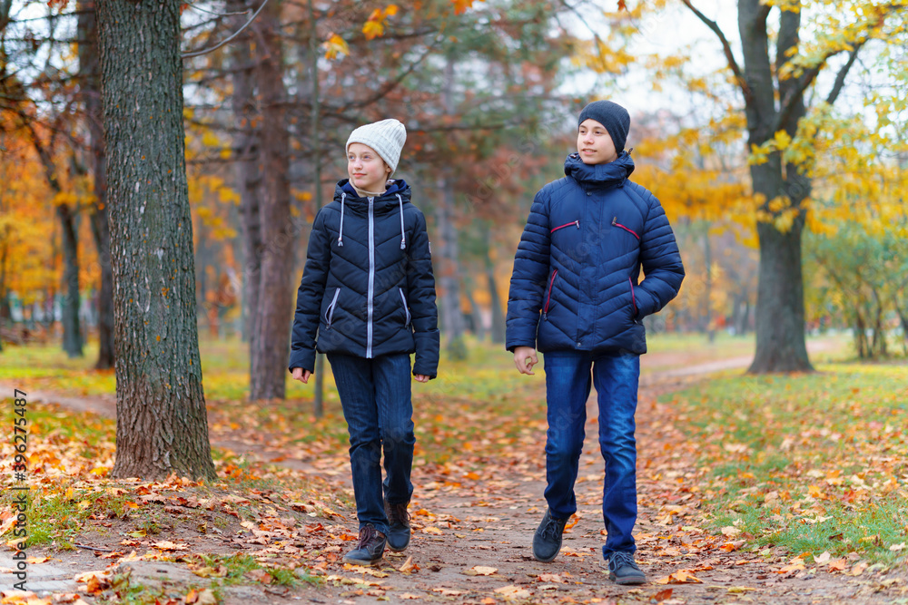 Fototapeta premium teen girl and boy walking through the park and enjoys autumn, beautiful nature with yellow leaves