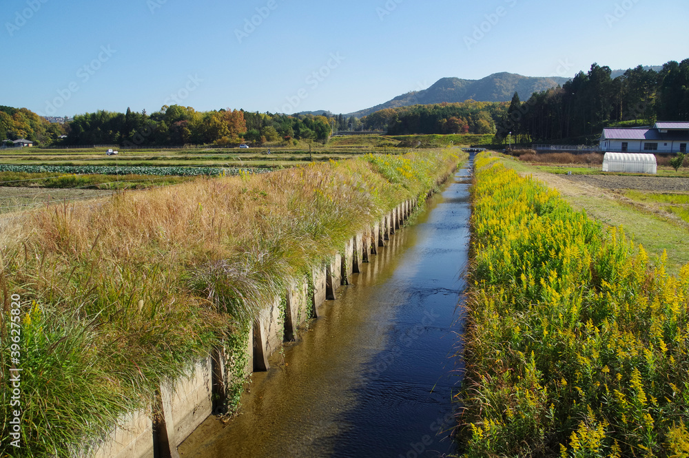 農地に整備された農業用水路