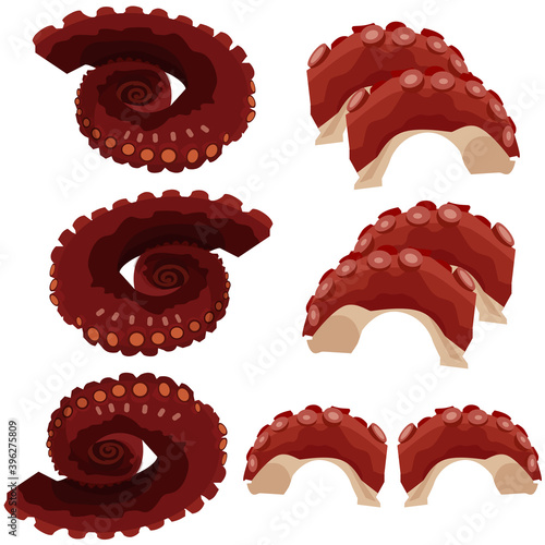 煮タコのイラスト素材　ベクター