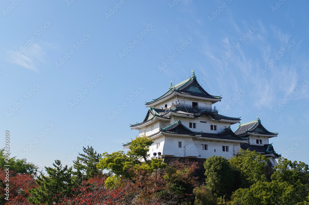 紅葉に映える和歌山城