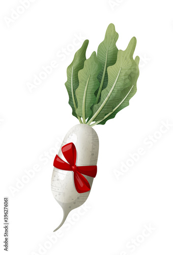Hand drawn daikon radish with red ribbon isolated on white background.
