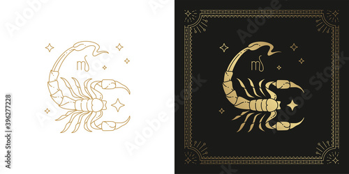 Zodiac scorpio horoscope sign line art silhouette design vector illustration