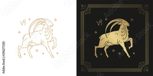 Zodiac capricorn horoscope sign line art silhouette design vector illustration