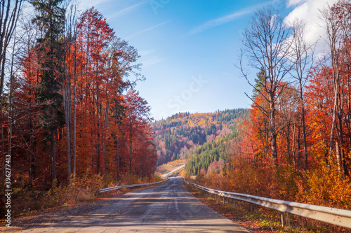 View of the mountain road in autumn. Carpathian mountains. Ukraine