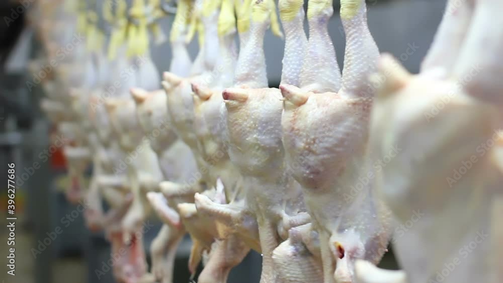Food industry, poultry meat processing plant, chicken meat on production line Food industry, poultry meat processing plant, chicken meat on production line
